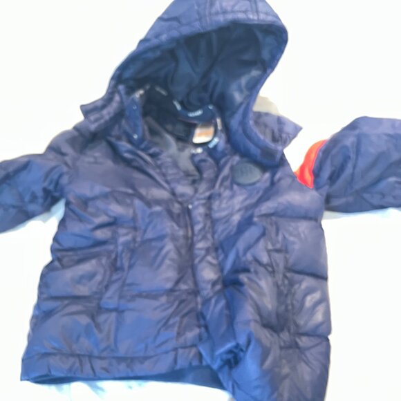 Adapted Winter Coat - Kids Tommy Hilfiger - Picture 5 of 5